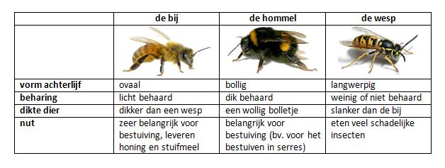 bijen