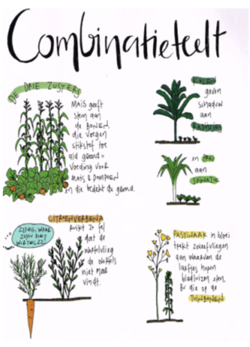 combinatieteelt